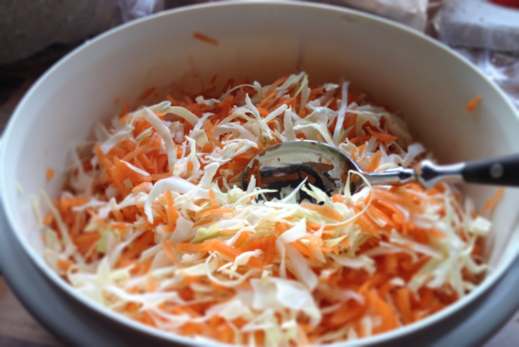 Denne lækre Coleslaw, er lavet af spidskål og gulerødder