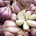 Agricultural background, a pile of beautiful cleared garlic
